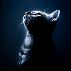 Александр Невский, 17.03.1989, Оренбург