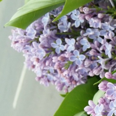 Гузель Галямова, 22.11, Павлодар