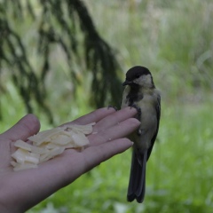 Ирина Iriska, 15.04, Кострома