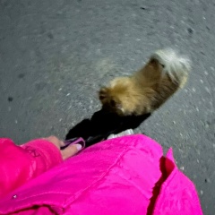 Анюта Колган, 28.01, Благовещенск