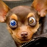 Андрей Худяков, 08.05.1984, Москва