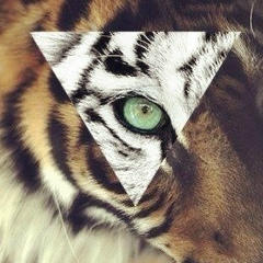 Тимур Кучинский