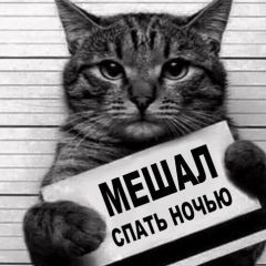 Ерасыл Нагалиев, 15.06, Алматы