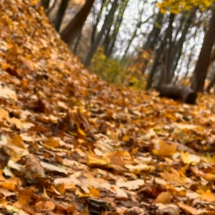 Рустам Ахундов, Москва