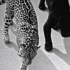 Елена Воронина, 29.06, Москва