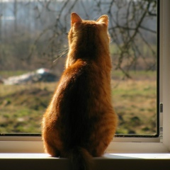 Любовь Фёдорова, 04.02, Санкт-Петербург