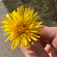 Ольга Власова, 15.03.1988, Санкт-Петербург