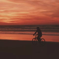 Sergey Medvedev, 07.08, Göteborg