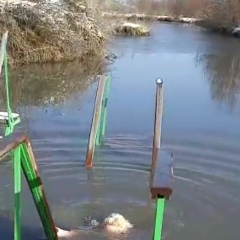 Анна Каримбаева, 28.04, Алматы