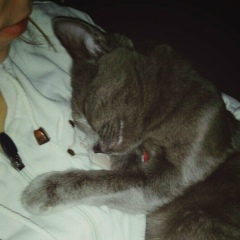 Таня Топор, 24.12.1991