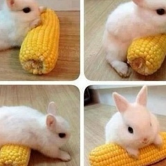 Яна Рудовская, 13.05.2002, Павлодар