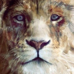 Евгений Александрович, 17.12.1986, Москва