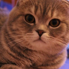 Станислав Гребенюк, 25.07.1989, Екатеринбург