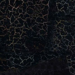 Алёна Аншина, 26.05, Троицк