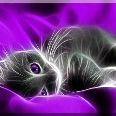 Рустем Саитов, 17.01, Тюмень