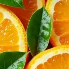 Zalya Kapanova, 18.09.1982, Алматы