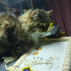 Светлана Вергунова, 11.10.1982, Вологда