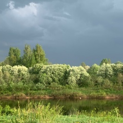 Екатерина Калиниченко, Нарва