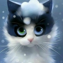 Ксения А, 18.09, Санкт-Петербург