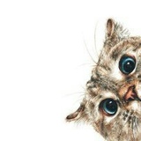 Юрий Пашко, 27.02, Запорожье