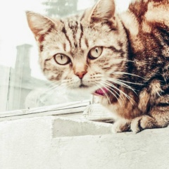 Александр Благодер, 07.04.1999, Дятьково