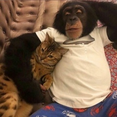 Dauren Izbasarov, 01.01.2006, Атырау