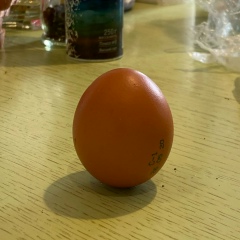 Евгения Плющева, 13.11, Москва