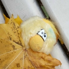 Екатерина Моисеева, 19.07, Санкт-Петербург