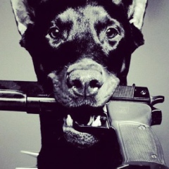 Мансур Волков, Батайск