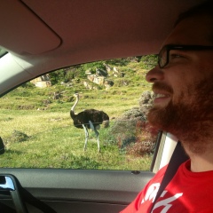 Игорь Высоцкий, 02.01.1988