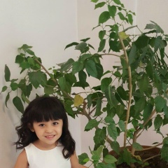 Sonya Isakova, Алматы