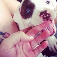 Анютка Назаренко, 31.12.1991, Киев