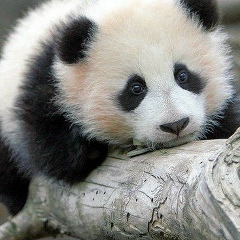 Ирина Хромова, 02.11, Санкт-Петербург