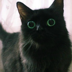 Иван Князев, 06.03, Москва