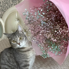 Алиижан Алижановна, 12.09