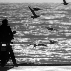 Игорь Игорев, 07.06.1988, Тула