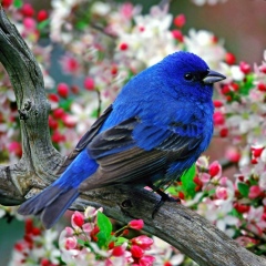 Татьяна Мышова, 14.05, Санкт-Петербург