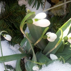 Tatyana Zhezmer, 11.09, New York City