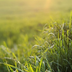 Олексій Щербаков, 19.11.1985, Харьков