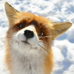 Екатерина Смоляр, 11.07.1988, Санкт-Петербург