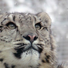 Александр Секретарюк