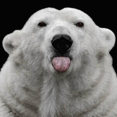 Виталий Авдеев, Москва