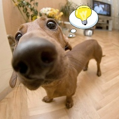 Сергей Хомюк, 23.08