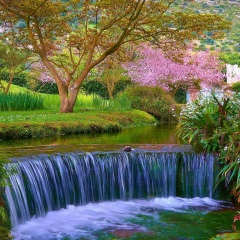 Даша Вербицкая, 24.12.1987, Днепр (Днепропетровск)