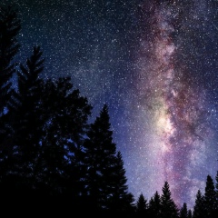 Григорий Островский, 10.12, Москва