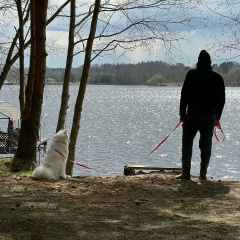 Кирилл Алексеыч, 08.08