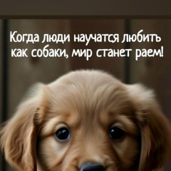 Ангелина Лихачева, 29.10.1988, Санкт-Петербург