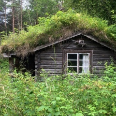 Мадина Кадирагаева, Otta