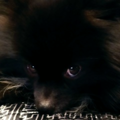 Лара Задорожная, 01.01, Северодвинск