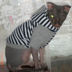 Марина Исаева, 11.02.1961, Санкт-Петербург